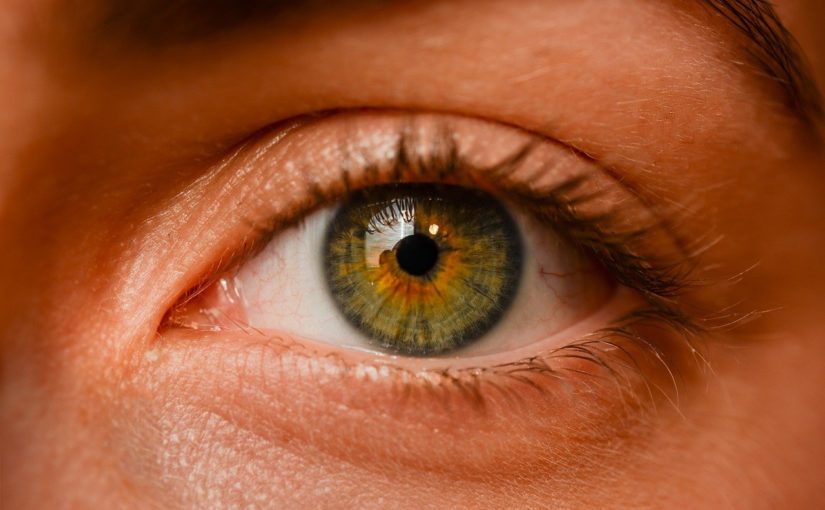 Oczy to wyrafinowany organ. To naturalnie dzięki nim spostrzegamy.